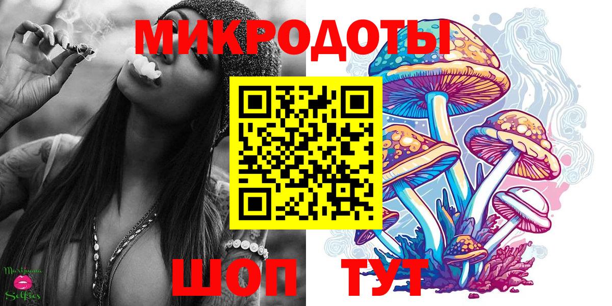 Галлюциногенные грибы Psilocybe Чебоксары