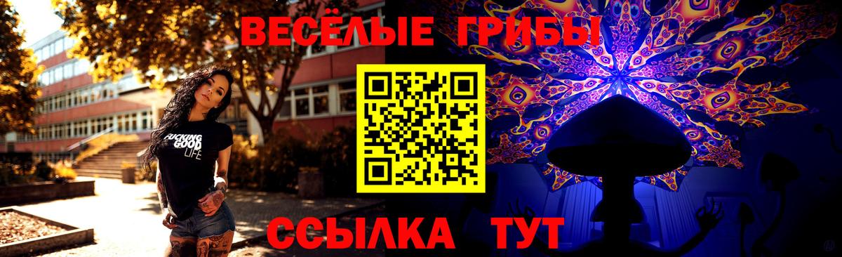 Псилоцибиновые грибы Psilocybe  Галлюциногенные грибы прущие грибы  Чебоксары  Вход с VPN 